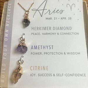 Interchangeable 3 in 1 Aries Zodiac Necklace